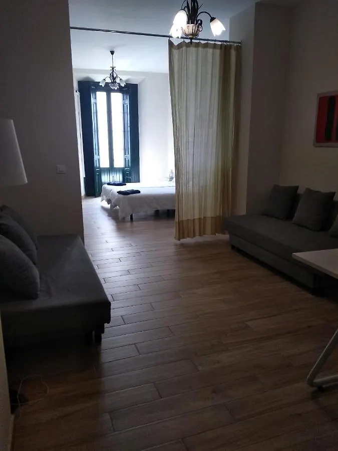Apartamento Centro Santa Catalina 1º C Apartment Seville